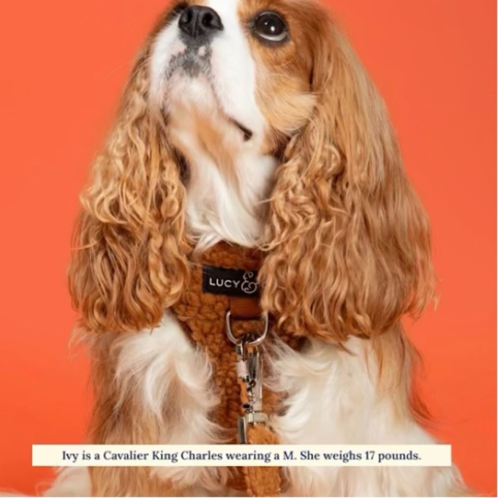 Lucy & Co. Cinnamon Teddy Fleece Dog Harness